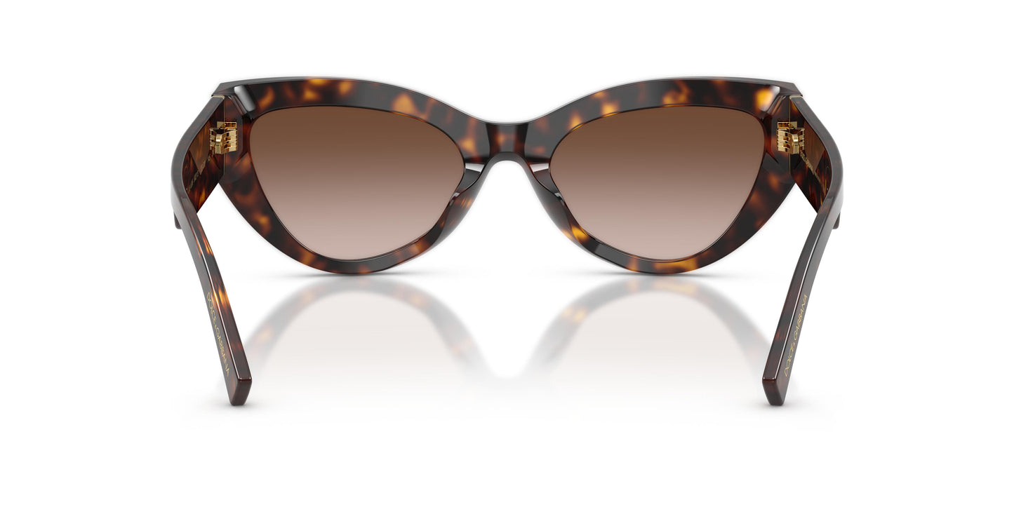 Dolce & Gabbana DG4536 502/13 55