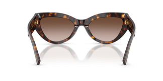 Dolce & Gabbana DG4536 502/13 55
