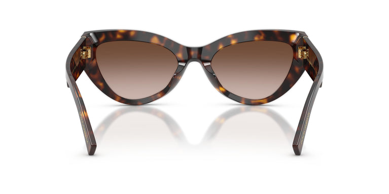 Dolce & Gabbana DG4536 502/13 55