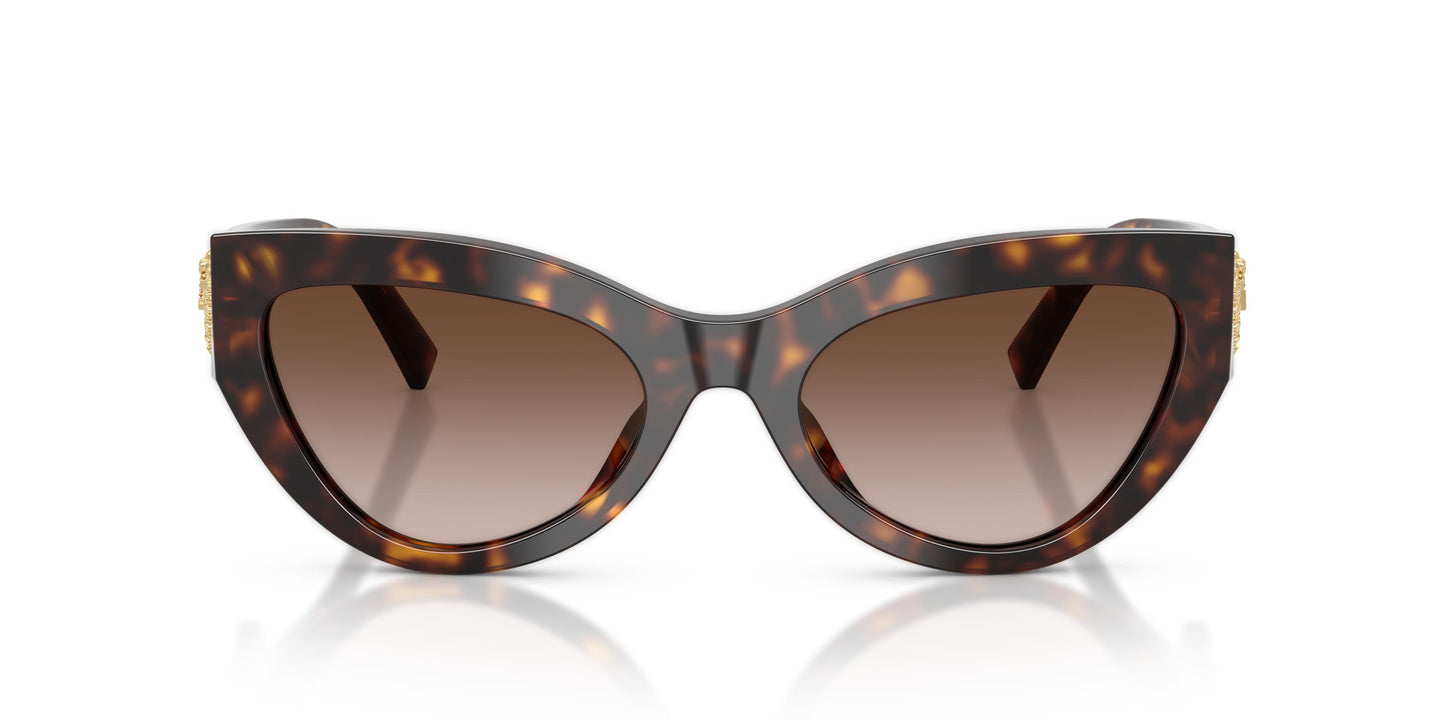 Dolce & Gabbana DG4536 502/13 55