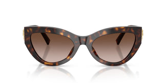 Dolce & Gabbana DG4536 502/13 55