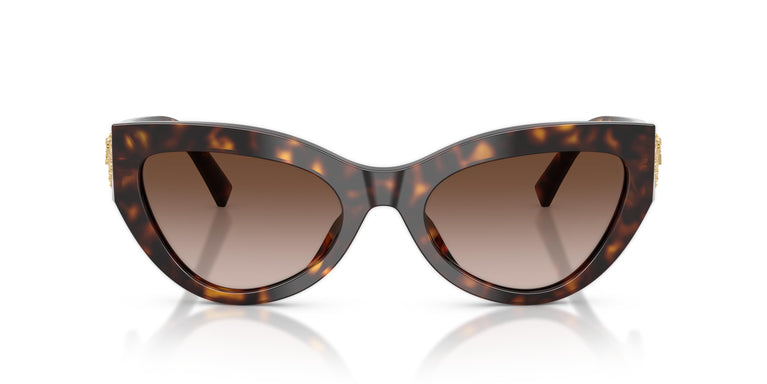 Dolce & Gabbana DG4536 502/13 55