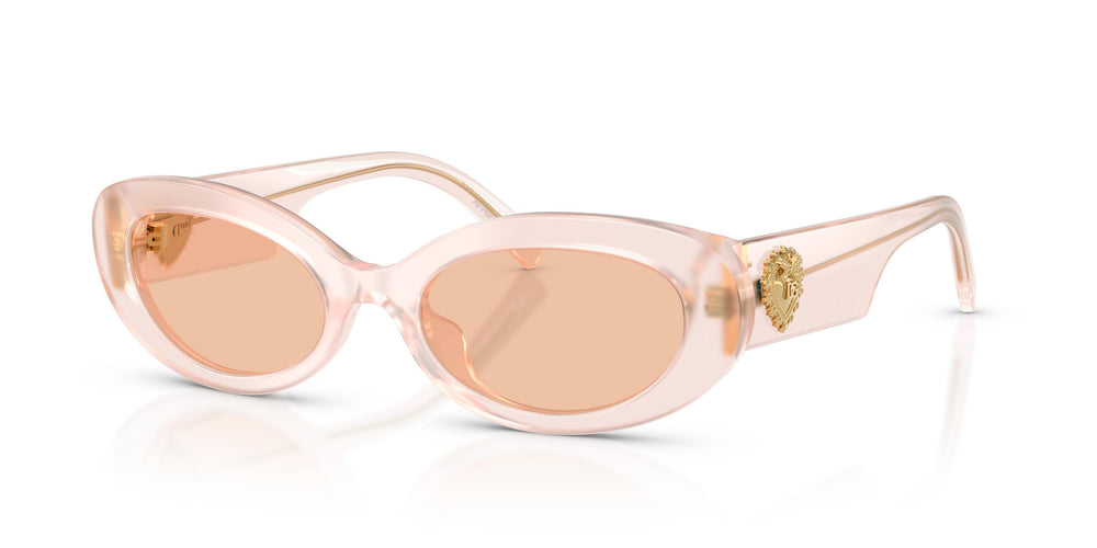 Dolce & Gabbana DG4537 304173 53