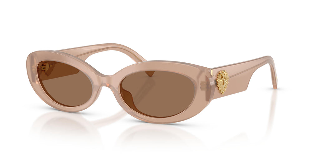 Dolce & Gabbana DG4537 304273 53