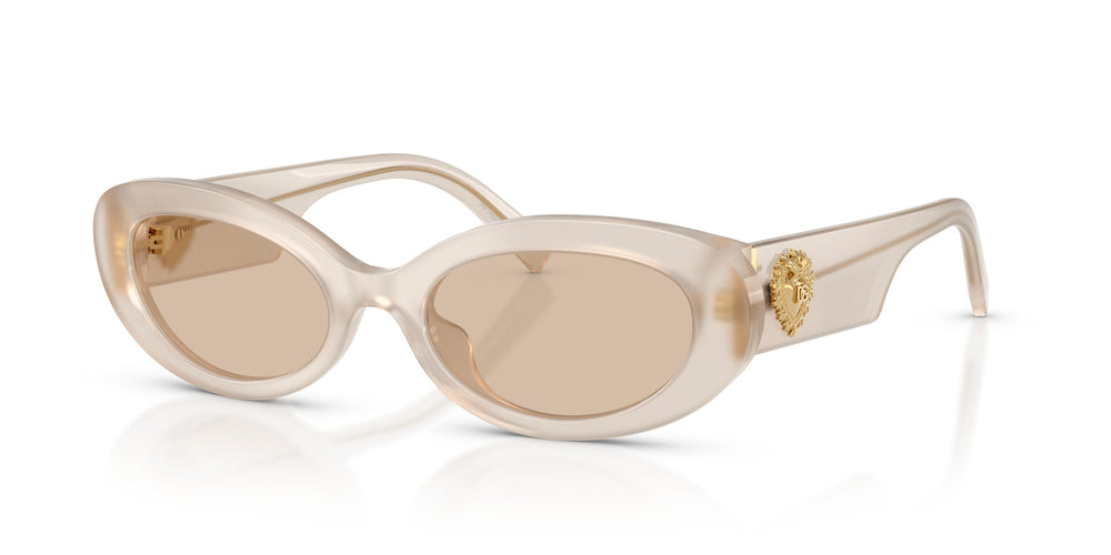 Dolce & Gabbana DG4537 342093 53