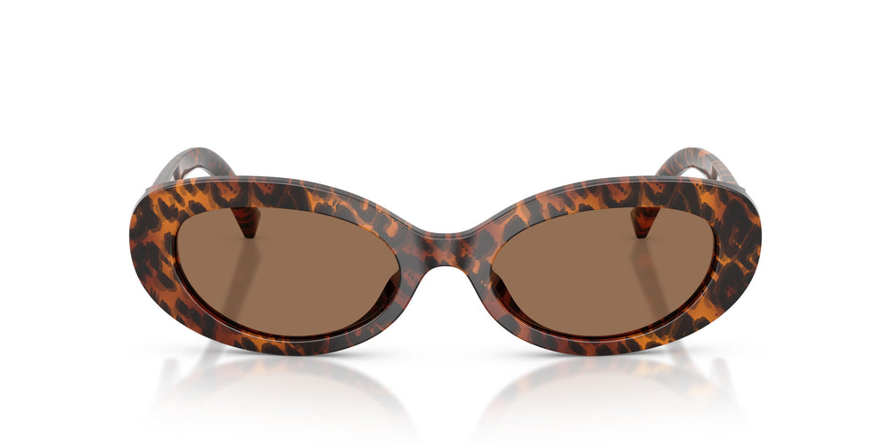 Dolce & Gabbana DG4537 347073 53