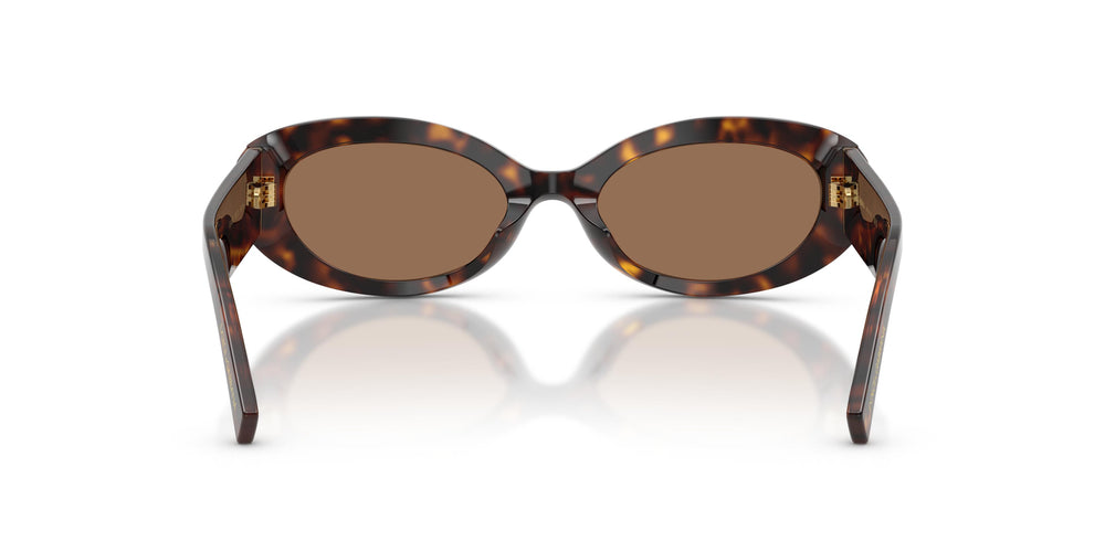 Dolce & Gabbana DG4537 502/73 53