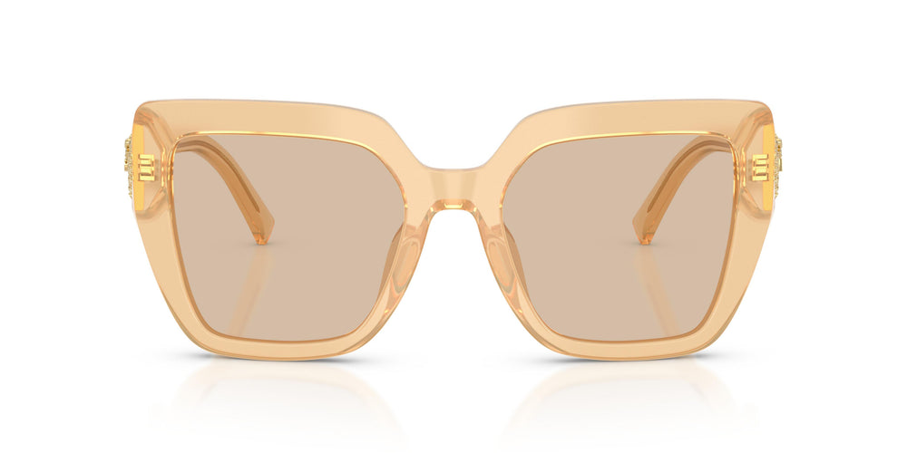 Dolce & Gabbana DG4538 308993 54