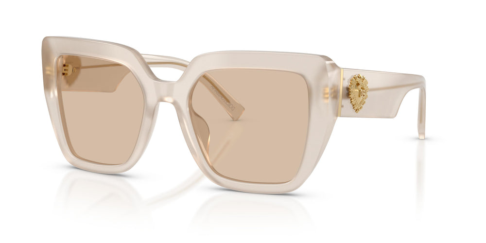 Dolce & Gabbana DG4538 342093 54