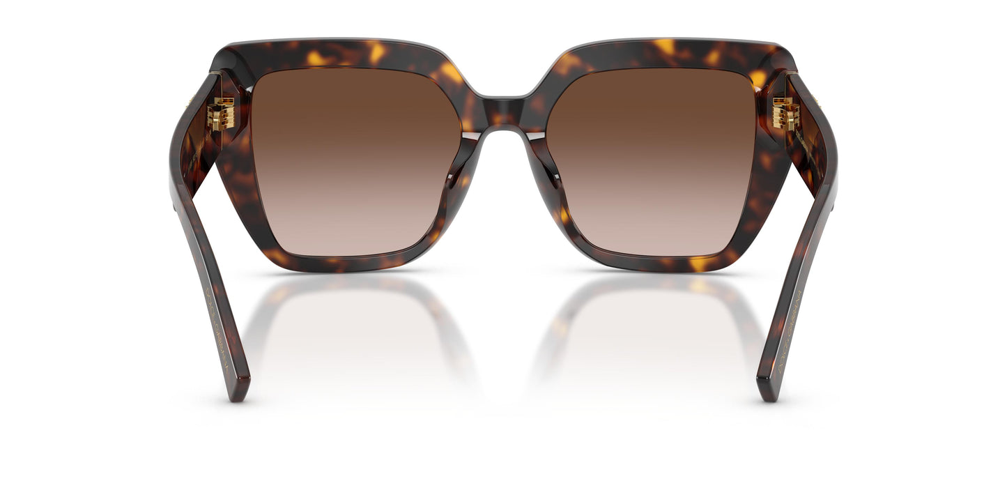 Dolce & Gabbana DG4538 502/13 54