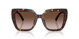 Dolce & Gabbana DG4538 502/13 54