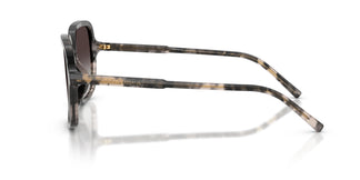 Dolce & Gabbana DG4539 31728G 55