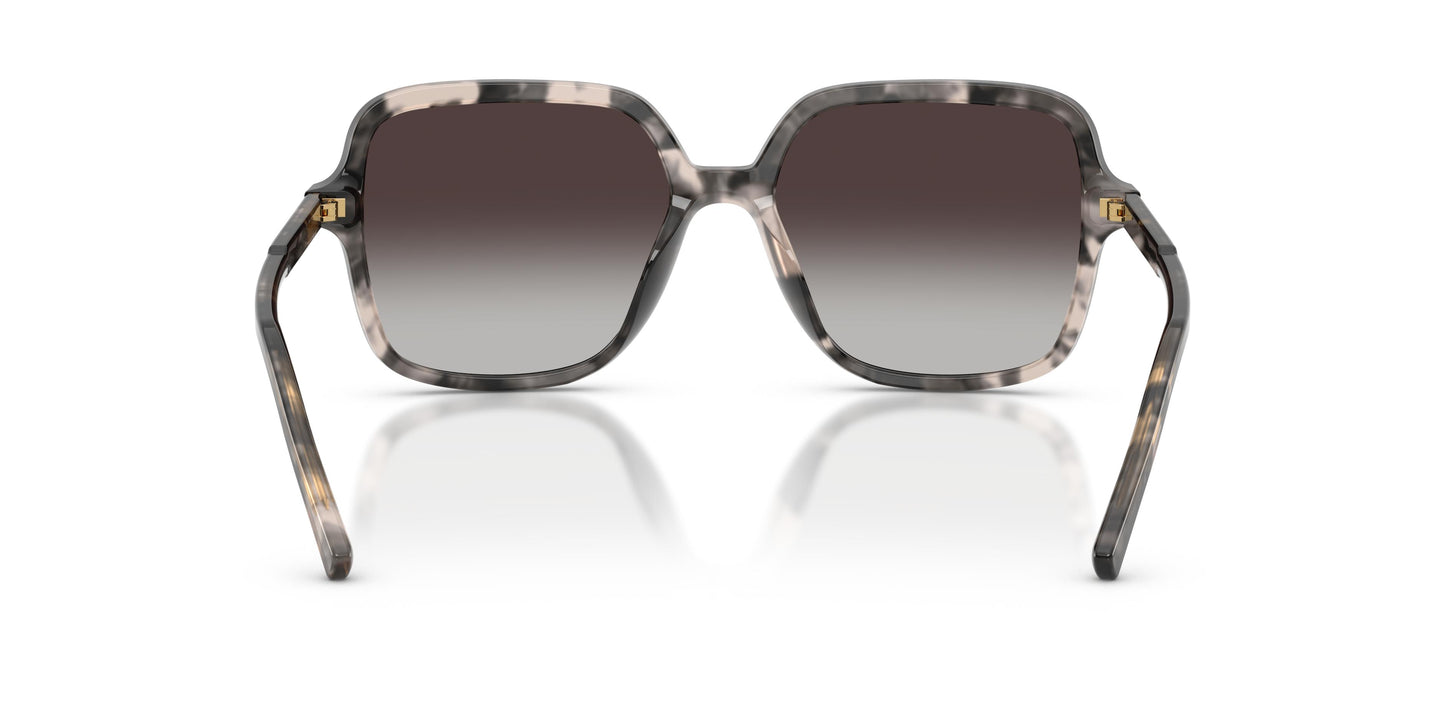 Dolce & Gabbana DG4539 31728G 55