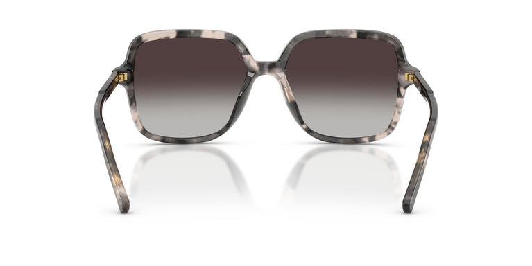Dolce & Gabbana DG4539 31728G 55