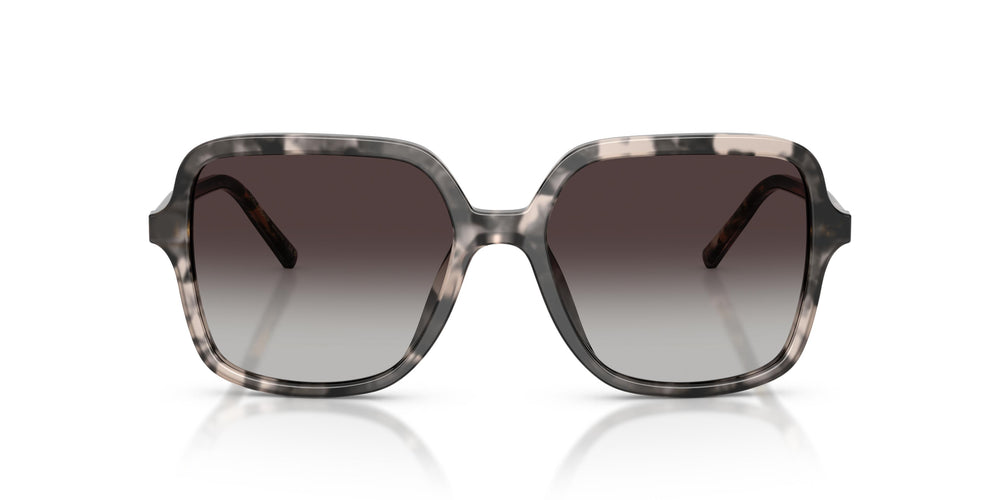 Dolce & Gabbana DG4539 31728G 55