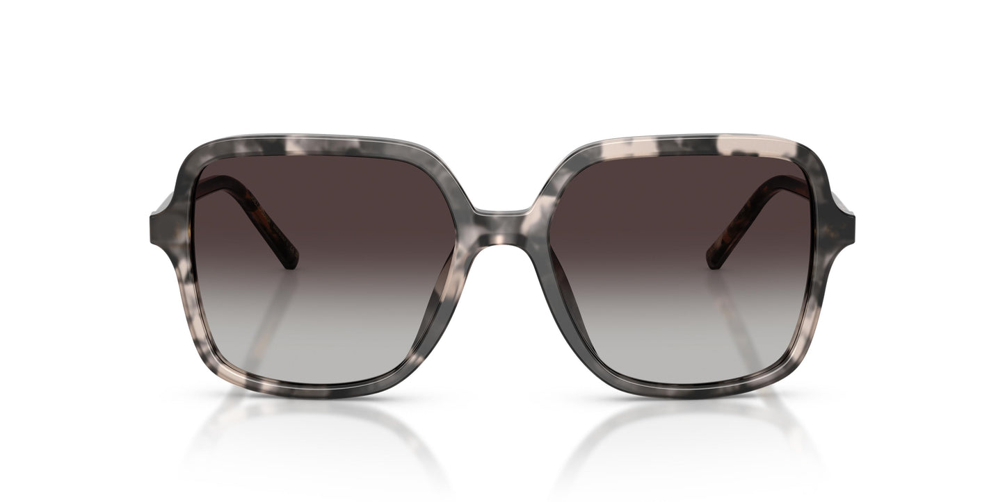 Dolce & Gabbana DG4539 31728G 55