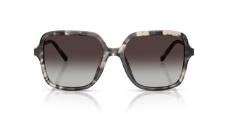 Dolce & Gabbana DG4539 31728G 55