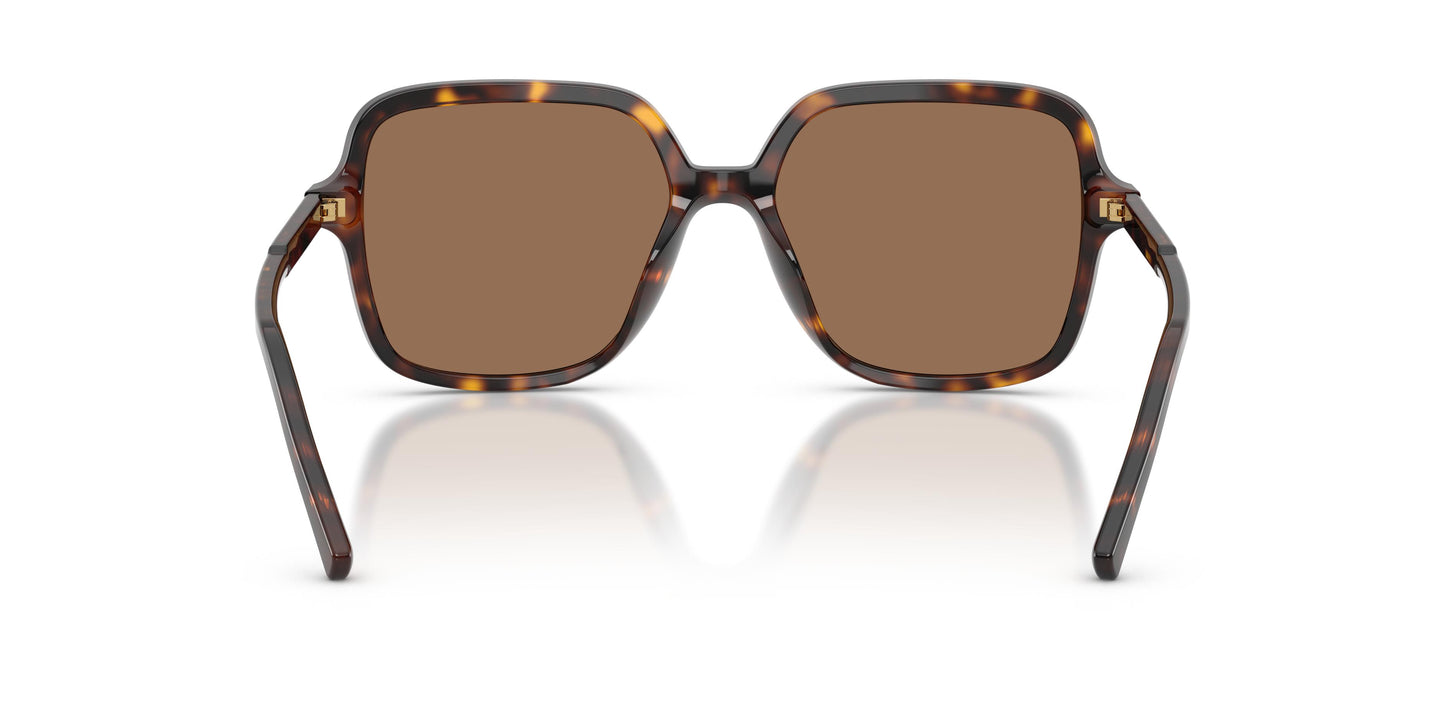 Dolce & Gabbana DG4539 502/73 55