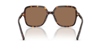 Dolce & Gabbana DG4539 502/73 55