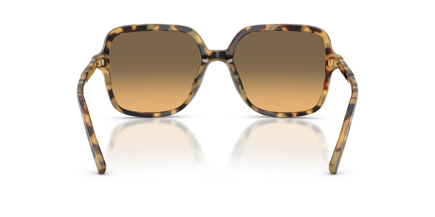 Dolce & Gabbana DG4539 512/11 55