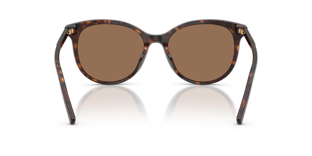 Dolce & Gabbana DG4540 502/13 55