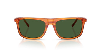 Dolce & Gabbana DG4542 348371 56