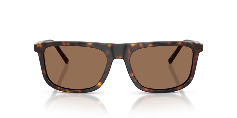 Dolce & Gabbana DG4542 502/73 56