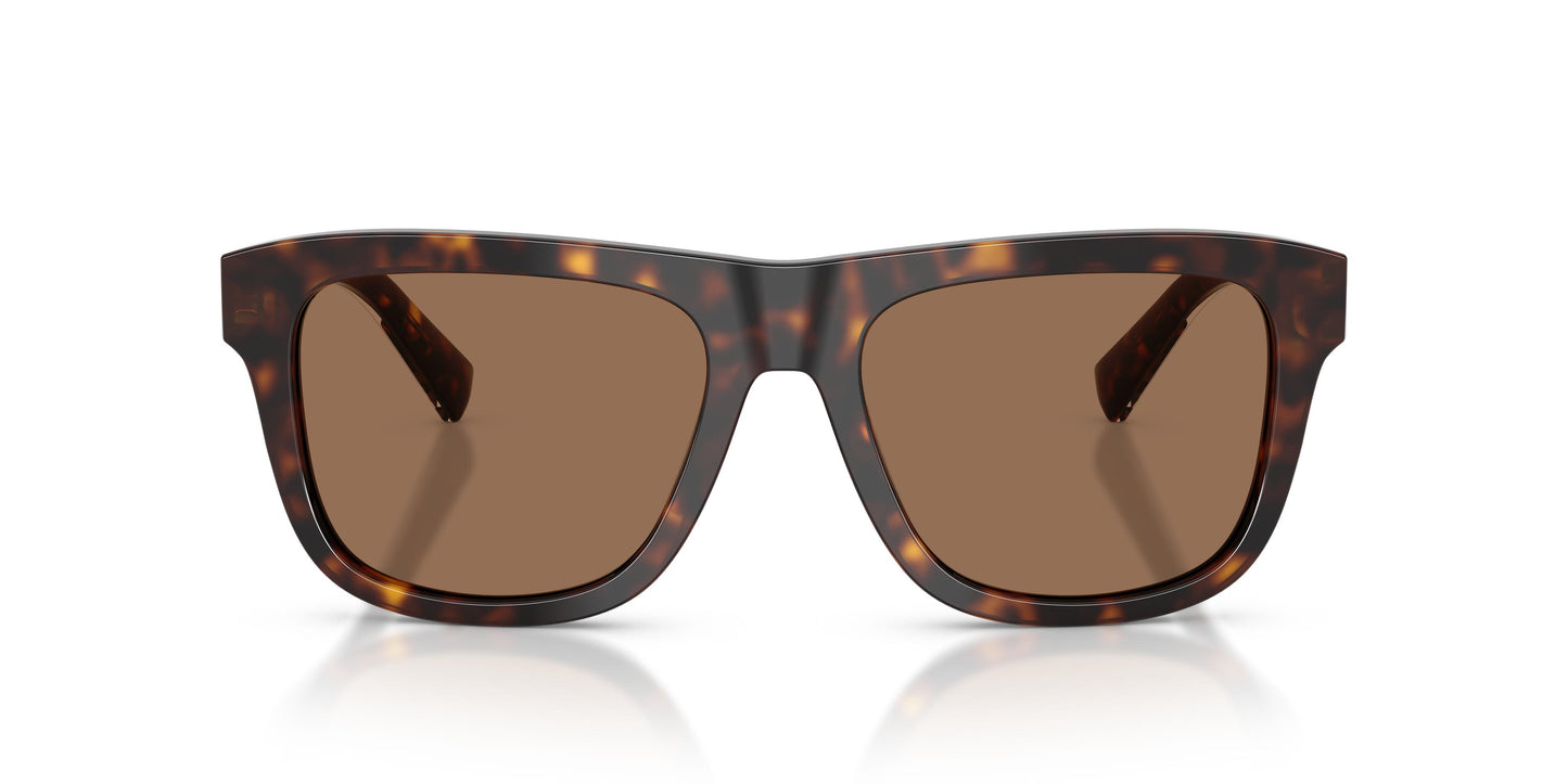 Dolce & Gabbana DG4545 502/73 55