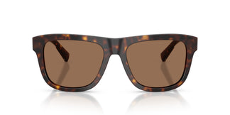 Dolce & Gabbana DG4545 502/73 55