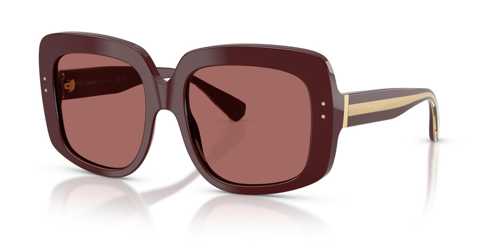 Dolce & Gabbana DG4557 309169 55