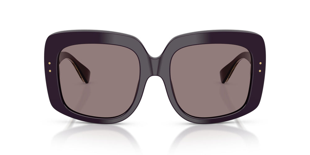 Dolce & Gabbana DG4557 35017N 55