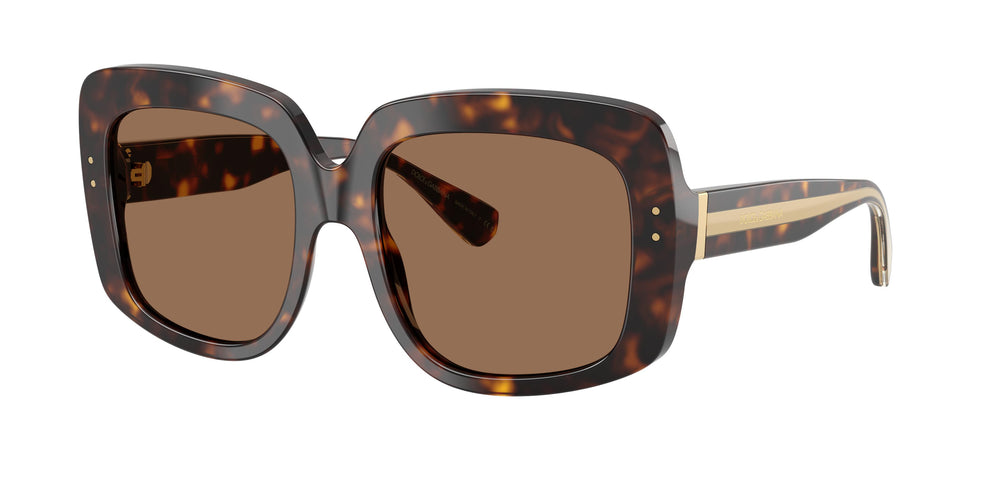 Dolce & Gabbana DG4557 502/73 55
