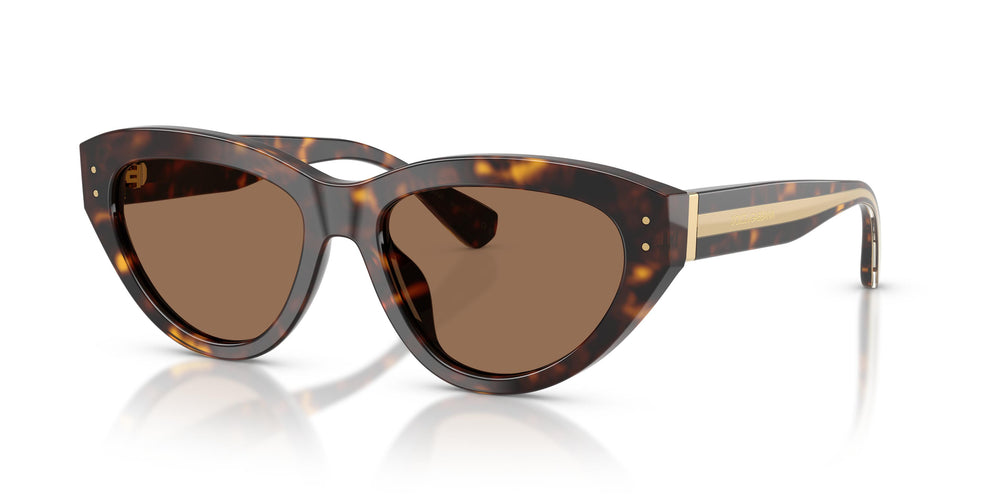 Dolce & Gabbana DG4558 502/73 54