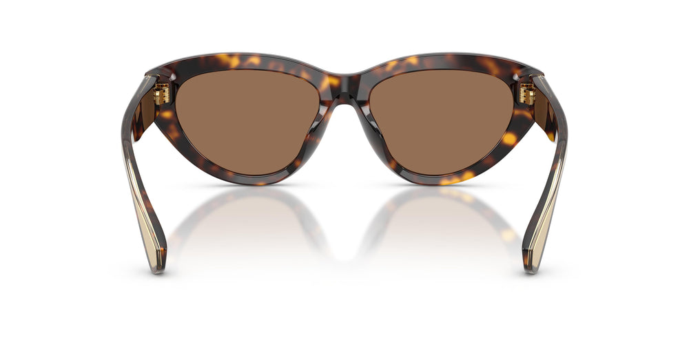 Dolce & Gabbana DG4558 502/73 54