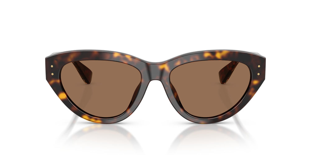 Dolce & Gabbana DG4558 502/73 54