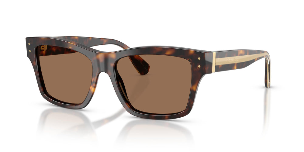 Dolce & Gabbana DG4559 502/73 55