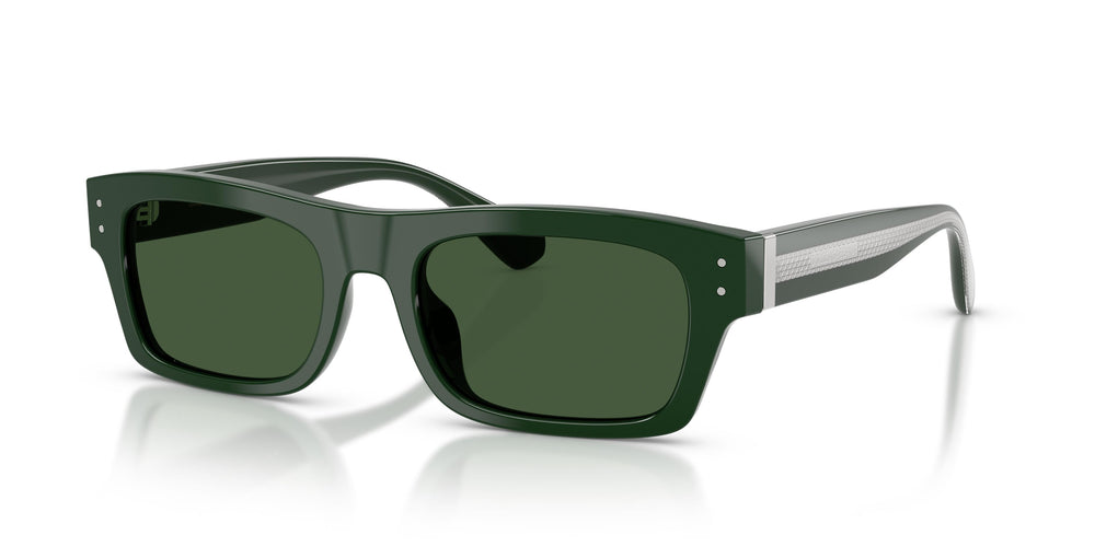 Dolce & Gabbana DG4560 331182 54