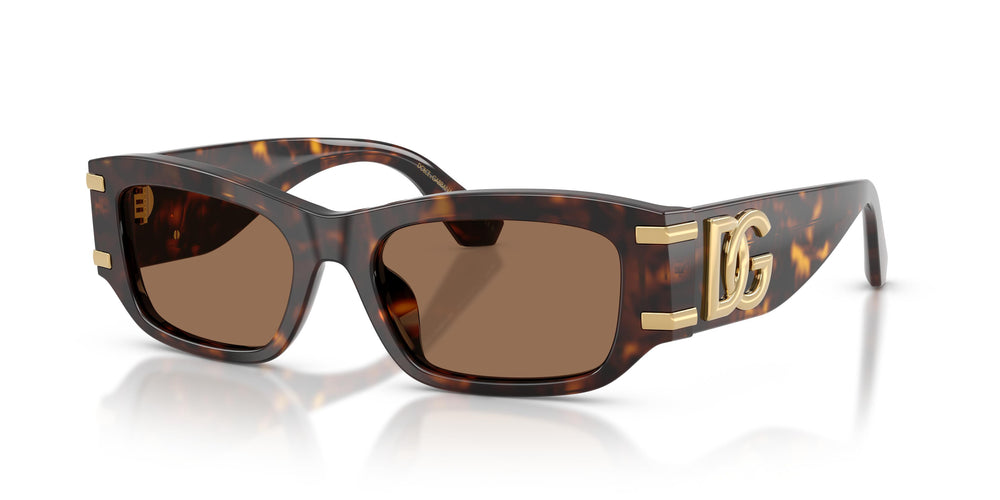 Dolce & Gabbana DG4564 502/73 53