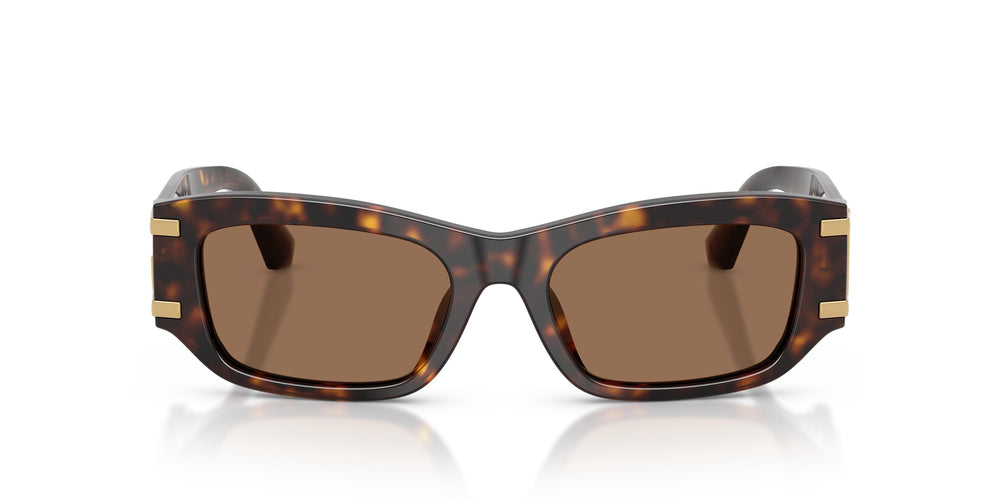Dolce & Gabbana DG4564 502/73 53