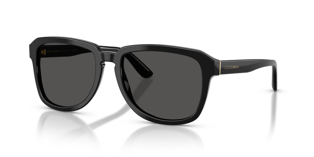 Dolce & Gabbana DG4566 501/87 56