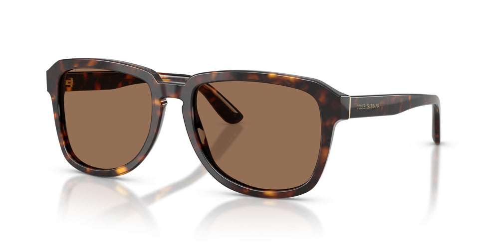 Dolce & Gabbana DG4566 502/73 56