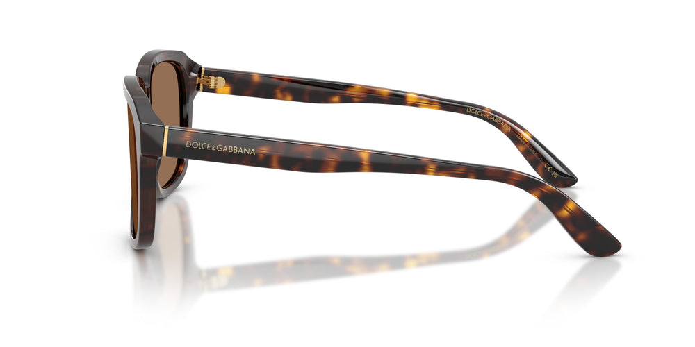 Dolce & Gabbana DG4566 502/73 56