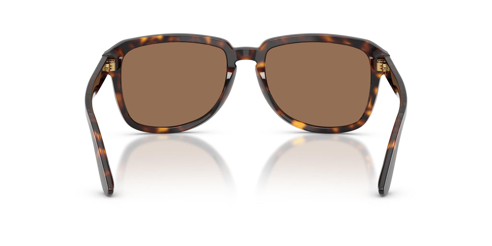 Dolce & Gabbana DG4566 502/73 56