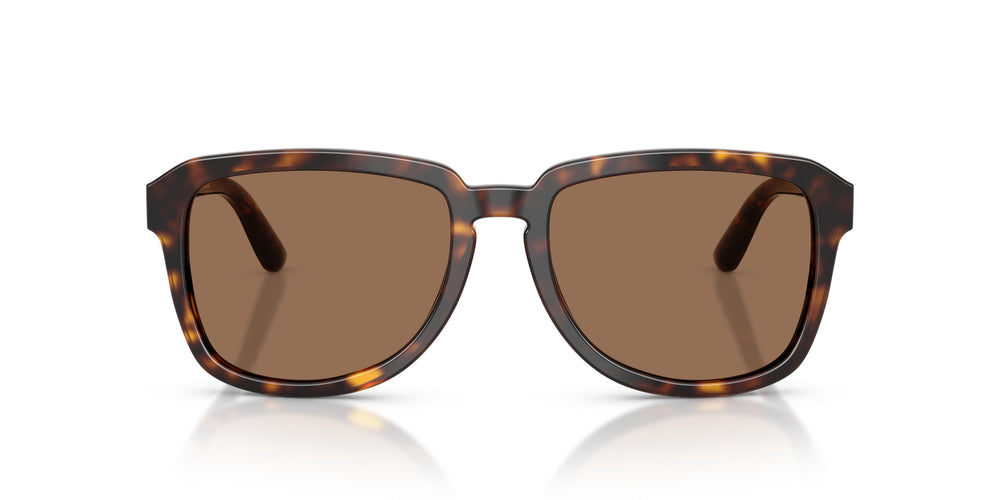 Dolce & Gabbana DG4566 502/73 56