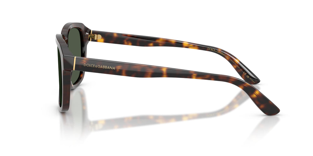 Dolce & Gabbana DG4566 502/9A 56
