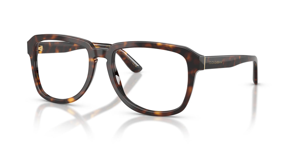 Dolce & Gabbana DG4566 502/SB 56