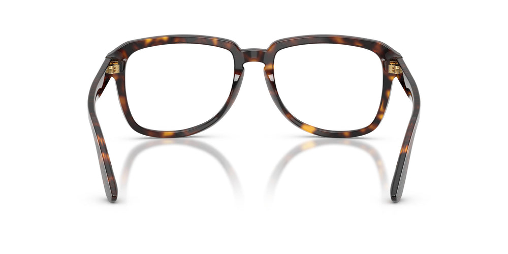 Dolce & Gabbana DG4566 502/SB 56
