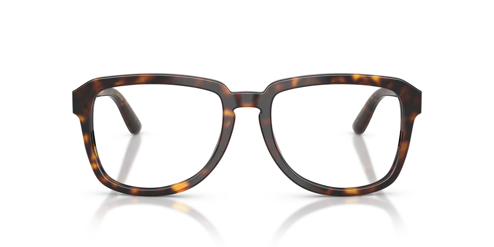 Dolce & Gabbana DG4566 502/SB 56
