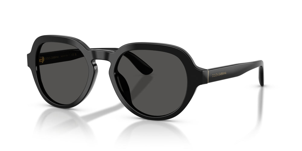 Dolce & Gabbana DG4567 501/87 52