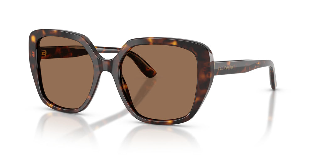Dolce & Gabbana DG4569 502/73 54